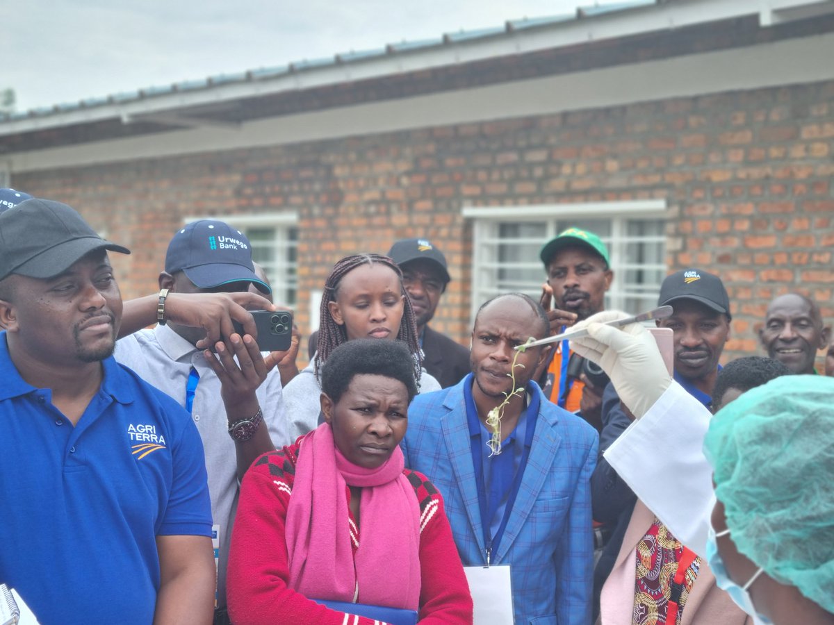 Agriterra Rwanda tweet media