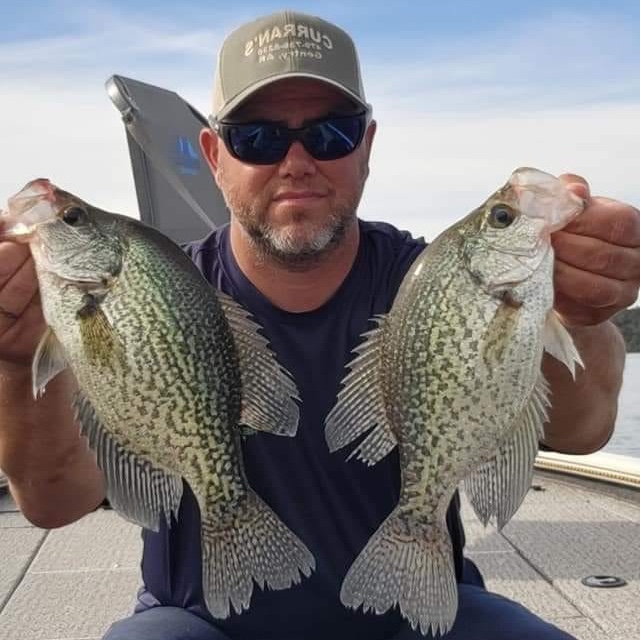 CrappieNow's tweet photo. Six reservoirs make up the Coosa chain β¦ do you have a favorite? As many fishermen leave the water and head back into the woods, fishing on the Coosa picks up. For anglers like Ryan Willis, success on #LakeMitchell isnβt hard to achieve with #EyeHoleJig!
https://t.co/018Q4l1TcC https://t.co/plhpfwTFcJ