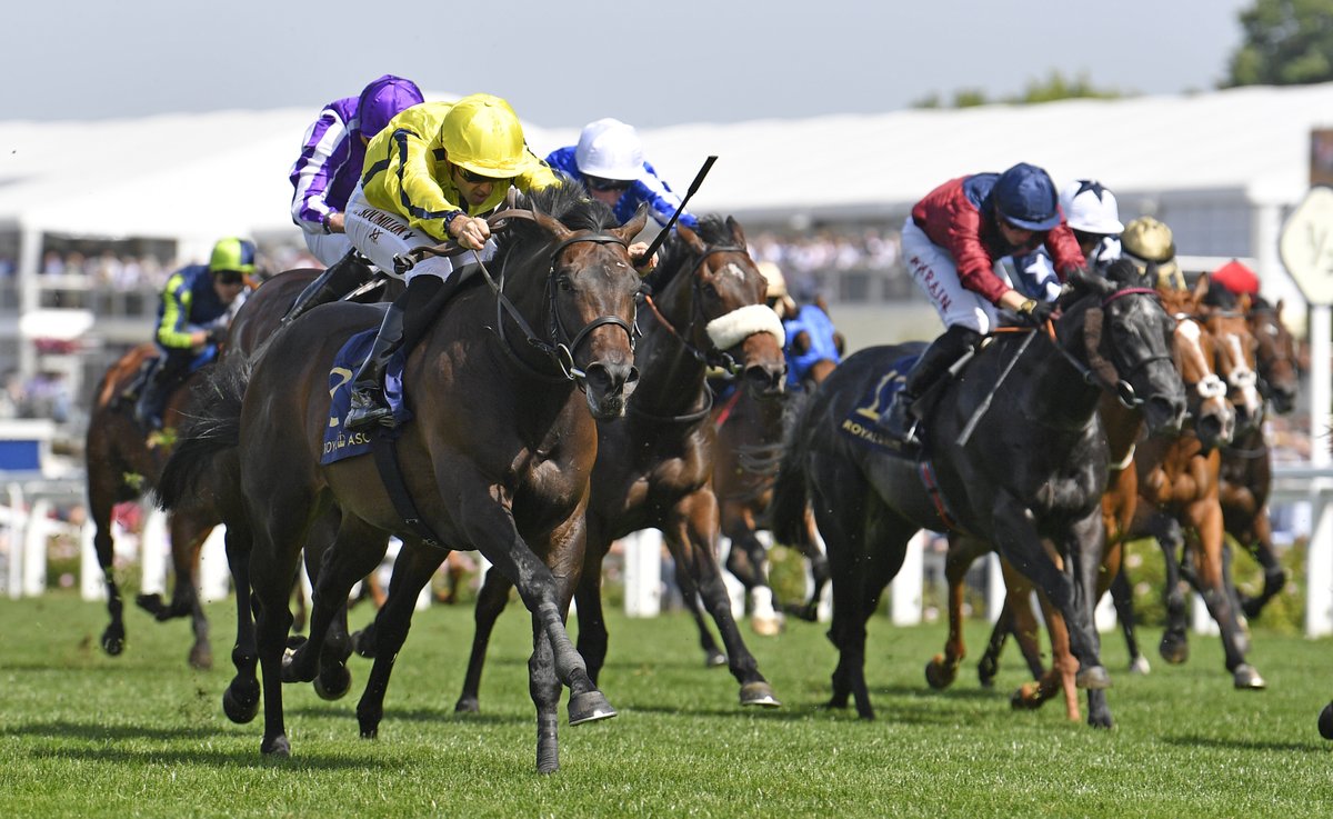 Champions Series on Twitter: