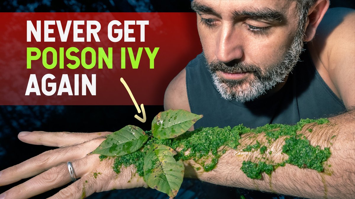 Rob Nelson tweet media