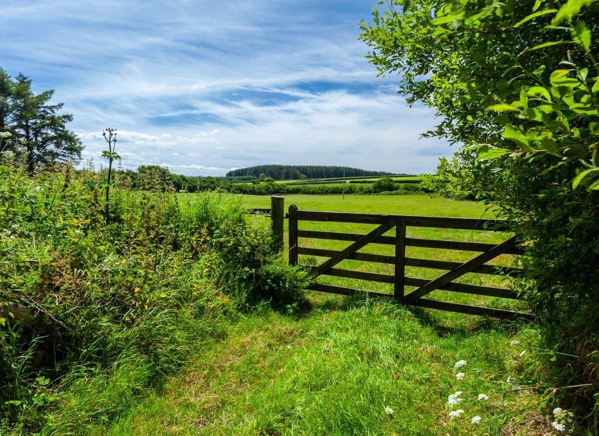 JSNorthDevon's tweet photo. Delighted to have #exchangedcontracts on this super #countryside property set amongst #rollinghills and within a ring fence of its own #land in #NorthDevon this week! 🥳🥂
#PropertyExperts #JacksonStops #Devon #Woolsery https://t.co/vLxjkMaQny