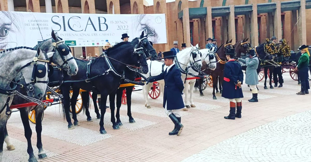 EnganchesAND's tweet photo. Finaliza el #ConcursoInternacional de #EnganchesdeTradición para #caballoPRE #CIATSICAB2022, final de la #COPAANCCE con los siguientes resultados.
🥇1º en #LIMONERAS - Rubén Cano Ruiz. #RallyCar
🥇1º en #TRONCOS - Raúl Aragón Navarro. #FaetondeGuía https://t.co/fD7v534QjD
