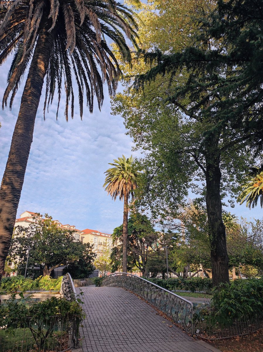 raqueeeelgf's tweet photo. un post de apreciación a lo bonito y curativo que es Santander ❤️‍🩹 https://t.co/n7GzUfMwAW