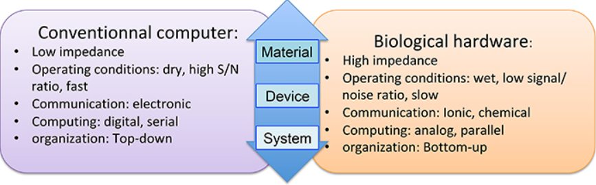 aplmachinelearn's tweet photo. Inspired by this timeless perspective on opportunities that organic electronics offer for neuromorphic engineering? https://t.co/1p2cGpshAH

Submit today to #APLMachineLearning #APforML! https://t.co/GS5AVTQou2 https://t.co/kwG9RJ57St