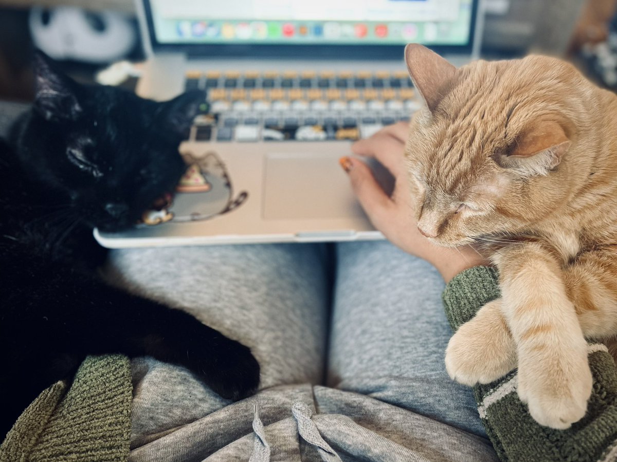 Anyone else have needy coworkers…? 😸🥰 #WorkFromHome