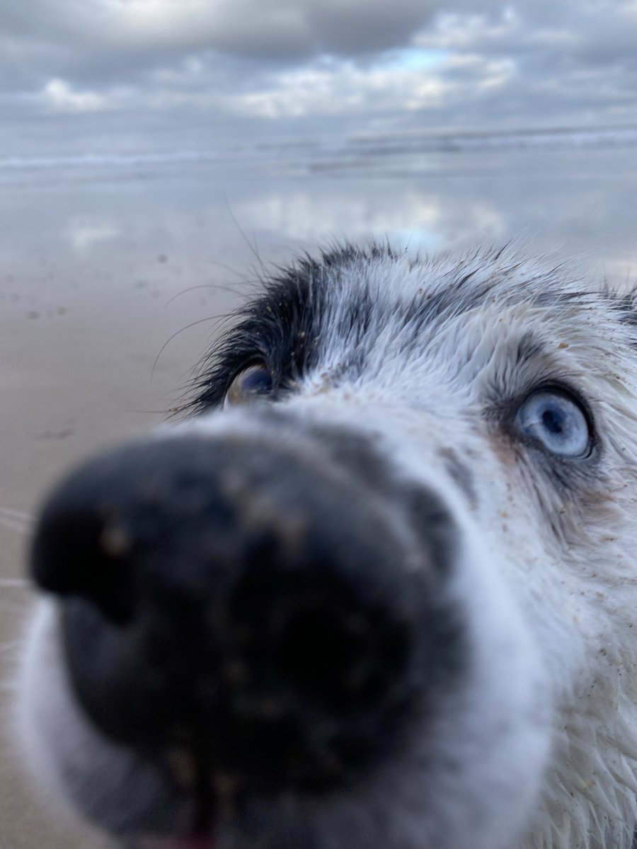 Duncan Ponter tweet media