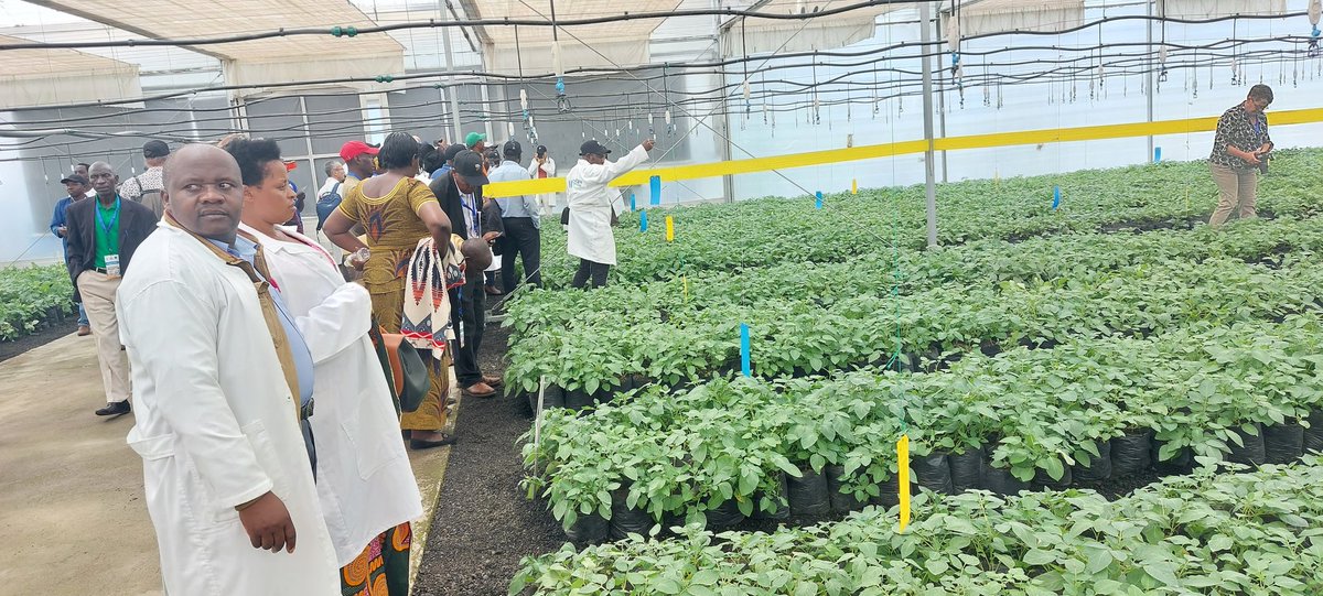 Agriterra Rwanda tweet media