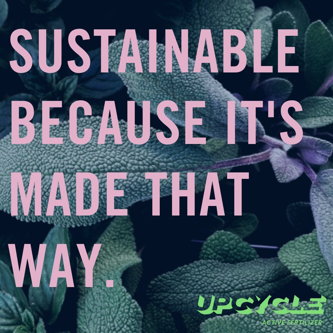 UpCycle and Co tweet media