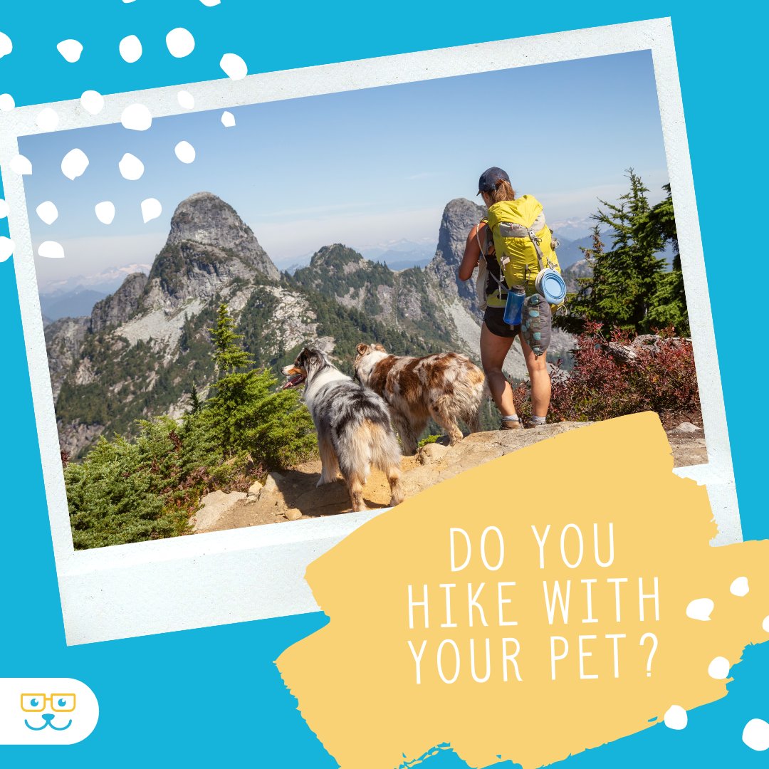 November 17th is National Take a Hike Day! Will you and your pet celebrate with a fun adventure? Let us know in the comments where you like to hike with your pet! #takeahikeday #hikewithpets #doghike #optoutside #veterinaryvillagelomira