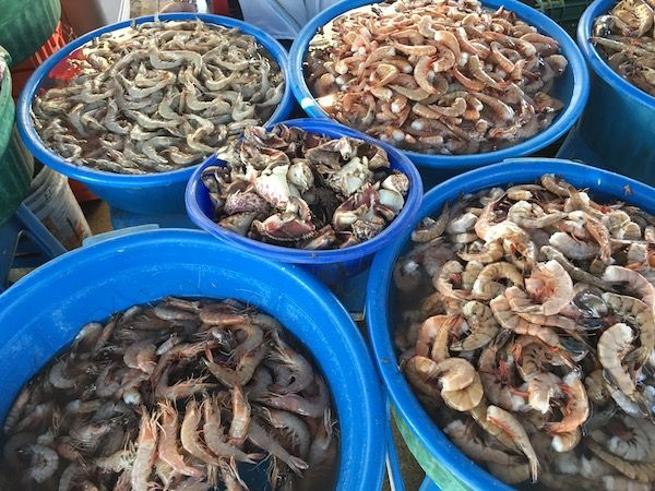 MazatlanVisit's tweet photo. Why do they call them Shrimp Ladies?

Find out here:->
https://t.co/1UlNN9QWSR

#Mazatlan #mexico #shrimp https://t.co/8ABZhrOGyU