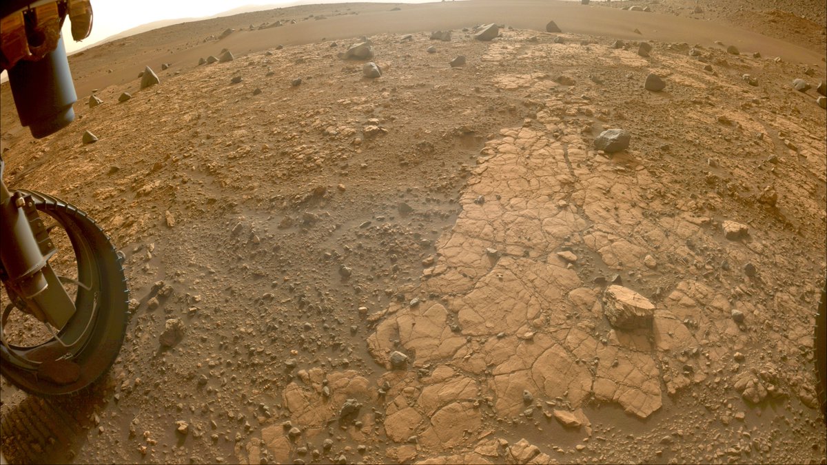 NASAPersevere's tweet photo. Do I geek out about cool-looking sandstone? You bet.

A shallow scouring with my drill’s abrasion bit shows this rock has veins of lighter material inside. Could it hold clues about ancient life? Time for more #SamplingMars. 

More on “Yori Pass”: https://t.co/raefWPc9JZ https://t.co/glecOQ49wk