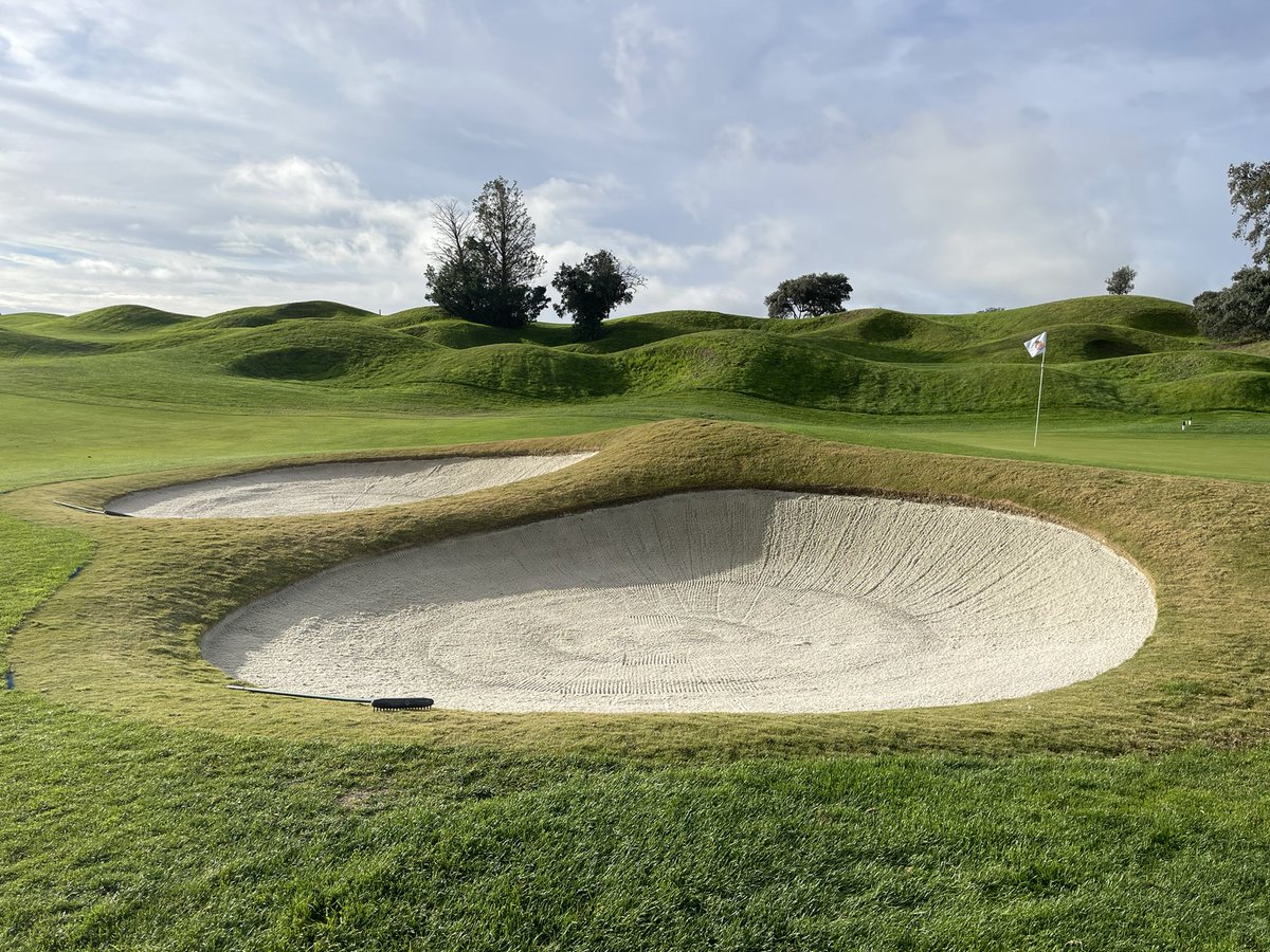 Bermuda Grass bunkers faces!!