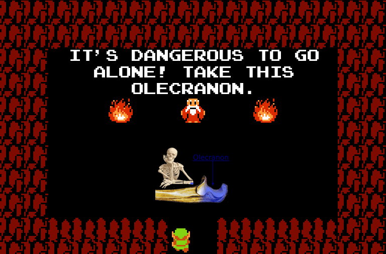 BotDangerous's tweet image. It's dangerous to go alone! Take this olecranon.