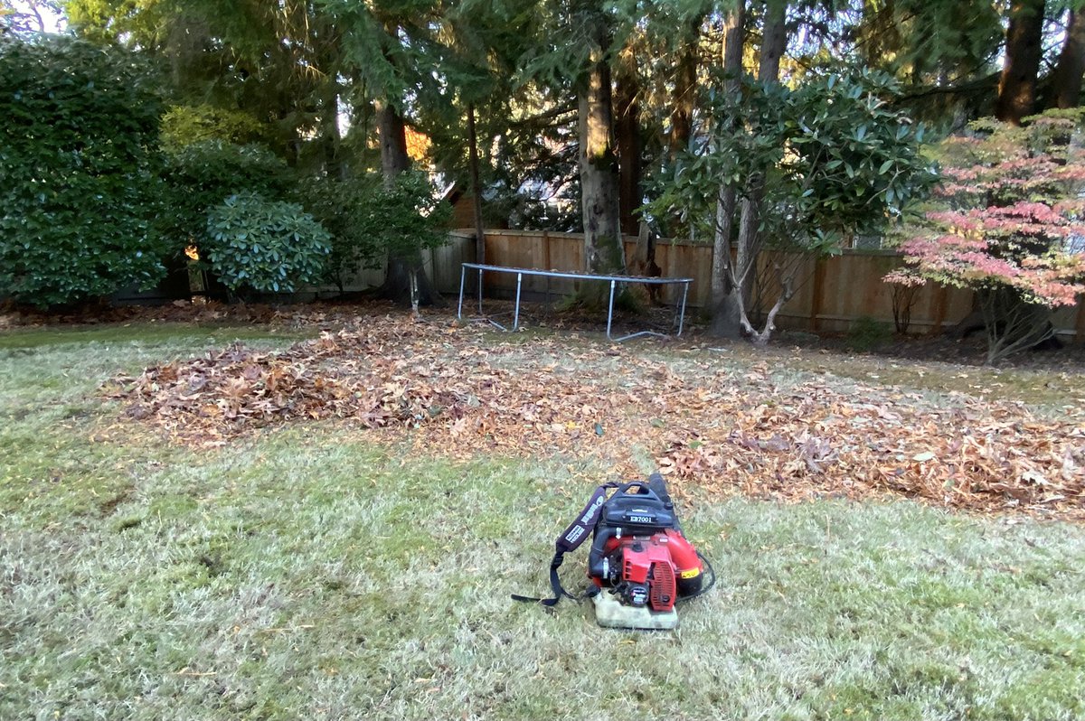 erecasner's tweet photo. A Day in the Life of a Retired @NBA Player…
Yep not all of us are out Golfing😊
Moss takes over this time of year in the PNW so I gotta get these leaves off my grass so I can kill the moss with #MossOut and treat my lawn with @ScottsLawn Winterguard - Fall Weed and Feed👌🏾 https://t.co/uAdaJPUFW0