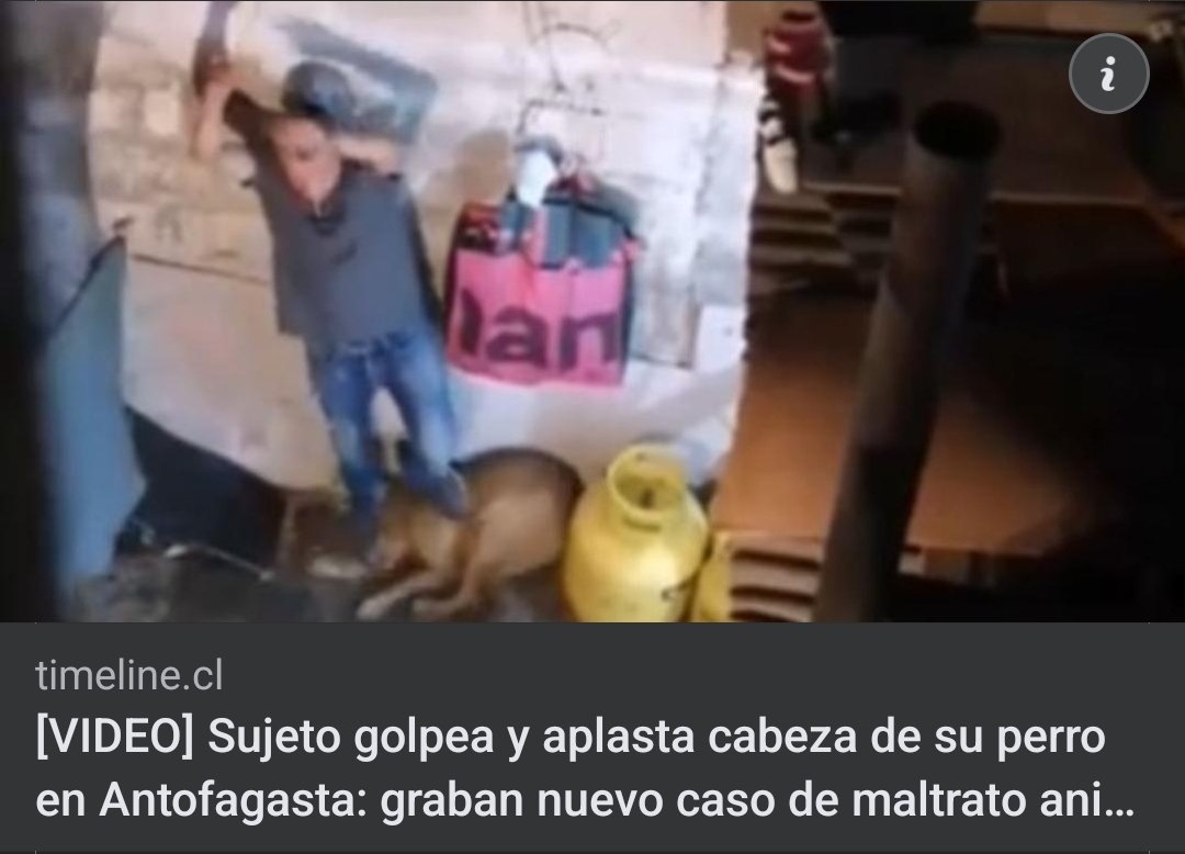 Arcariam85's tweet photo. Ayuden a difundir la cara de esta 💩

Torturador de animales.
Se encuentra prófugo el "valiente" al saber que difundieron el video haciendo tamaña atrocidad contra Laika.
Esto ocurrió en Antofagasta por una lacra importada.

Maldito
Millaray Viera
Claudia Conserva https://t.co/5mWwXXsywv