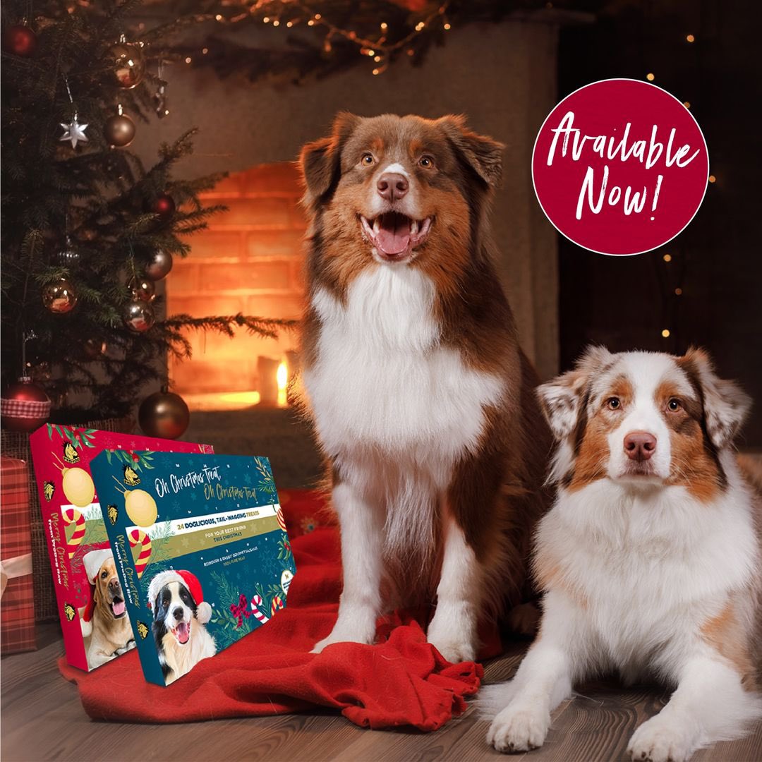 Paws up if you want one of our Advent Calendars for your fur friends. These wooftastic, all natural treats are sure to make your canine companions day - every day through to Christmas!

prodograw.com/.../christmas-…