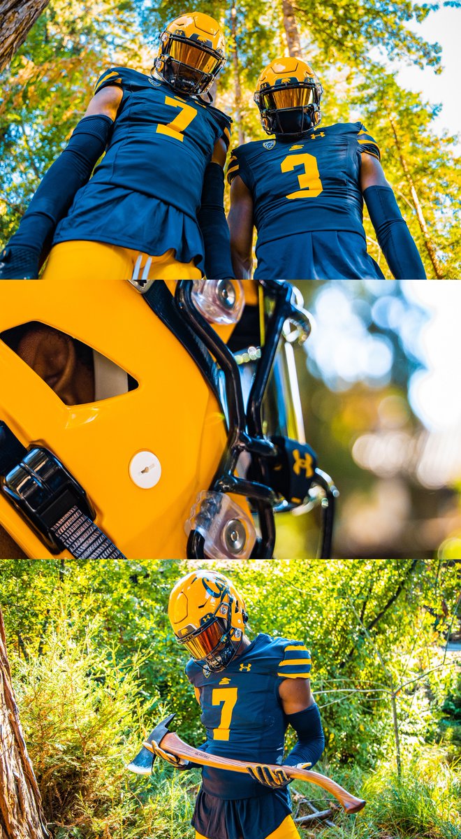 First time out of the box! 🌲🪵

#GoBears x #BigGame125