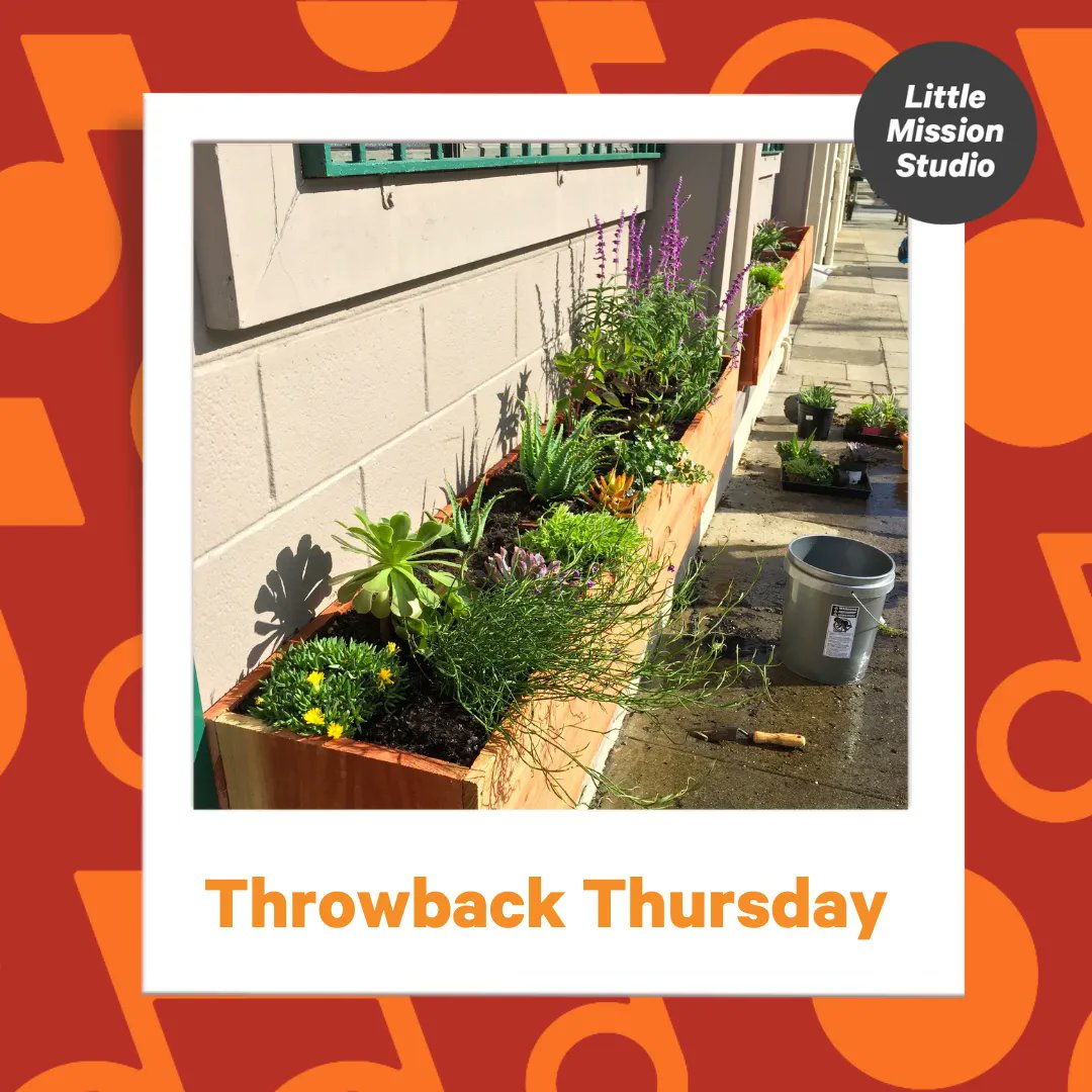 LMStudioSF's tweet photo. Throwback Thursday to when we first started our cute little garden outside of our school!
#Garden #plants #nature #pottedplants #succulents #littlemissionstudio #throwbackthrusday #tbt https://t.co/RgrTJFzL1D