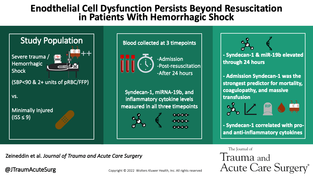 JTraumAcuteSurg's tweet photo. In a study of severe trauma/hemorrhagic shock patients, markers of endothelial dysfunction/activation remained high through 24hrs post resuscitation &amp; achieving hemostasis. Admission Syndecan-1 level was the strongest predictor of outcomes 

@AZeineddinMD

https://t.co/8AdzmA9UWy https://t.co/XmfFs6B6Zi