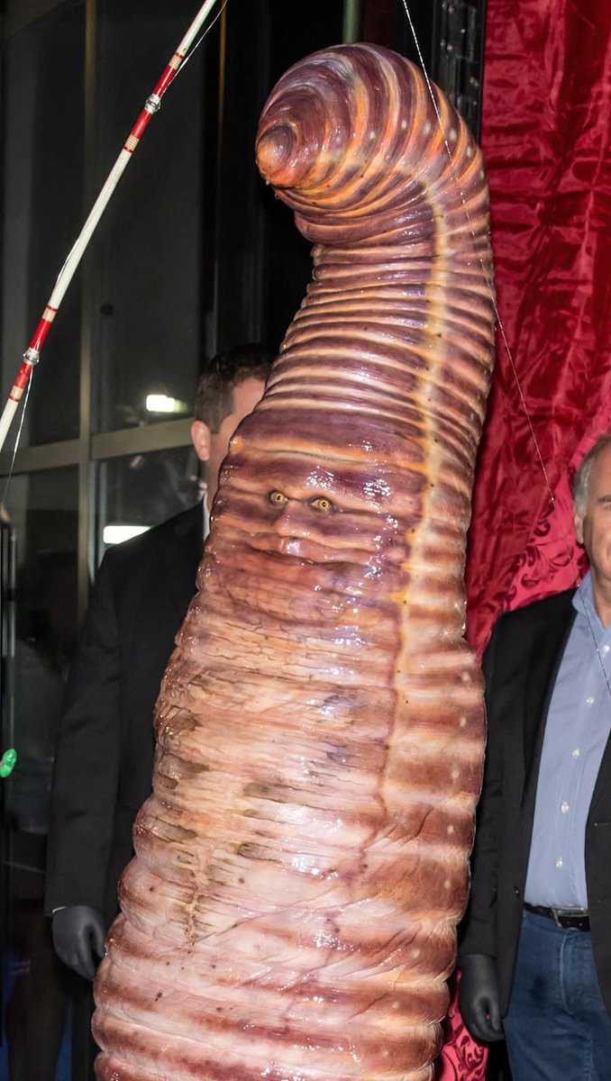 Game Hive Corp. tweet media