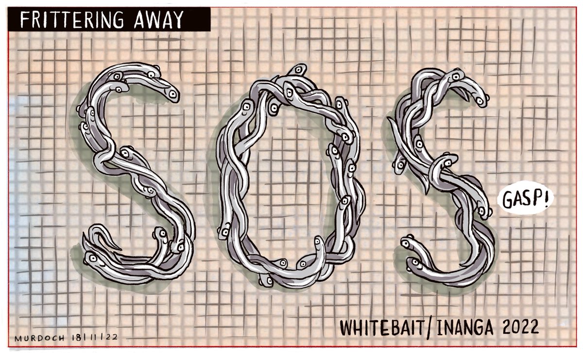 Sharon Murdoch tweet media