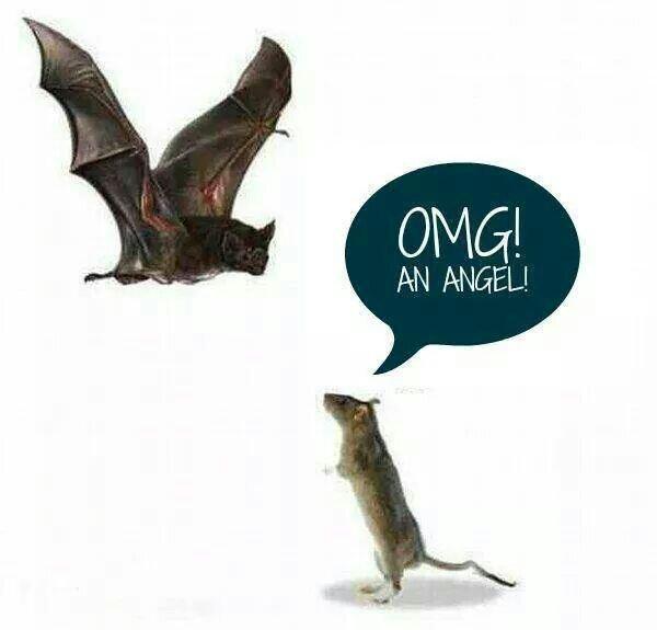 MarvinErazo19's tweet photo. ..Así caen los fanáticos políticos y religiosos.. #MultiversoBukele
#ElSalvador #TragiComedia #YaBasta #Avivemos https://t.co/e1BDKoVsZP
