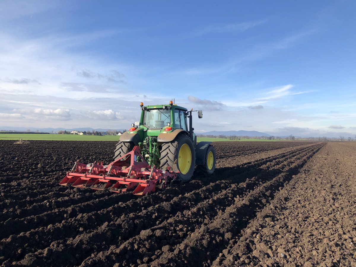 Aardappelruggen trekken op zware grond na het ploegen voor een hopelijk vroeger voorjaar en betere aansluiting