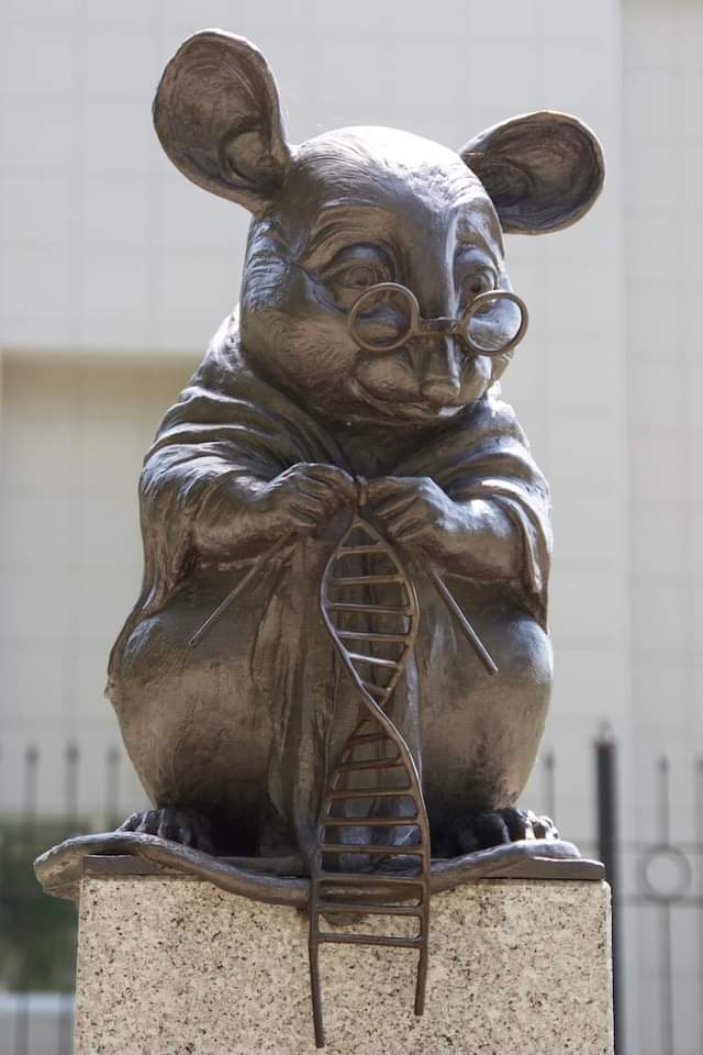 RincnCuriosoo's tweet photo. Esta escultura, ubicada en Rusia, es un monumento a los ratones que han perdido la vida en aras de la ciencia. https://t.co/dAGOkNr4vK
