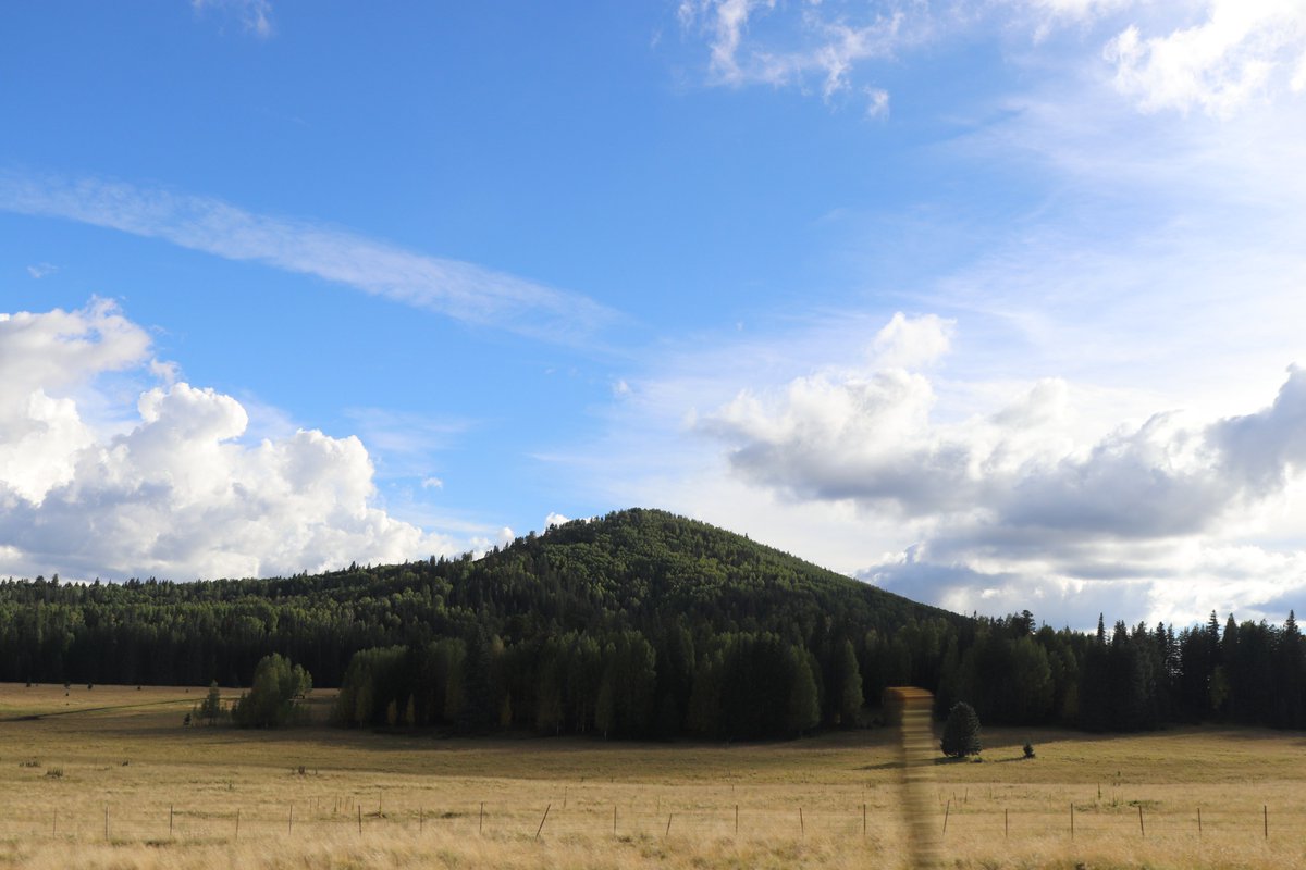 Alison Graettinger tweet media