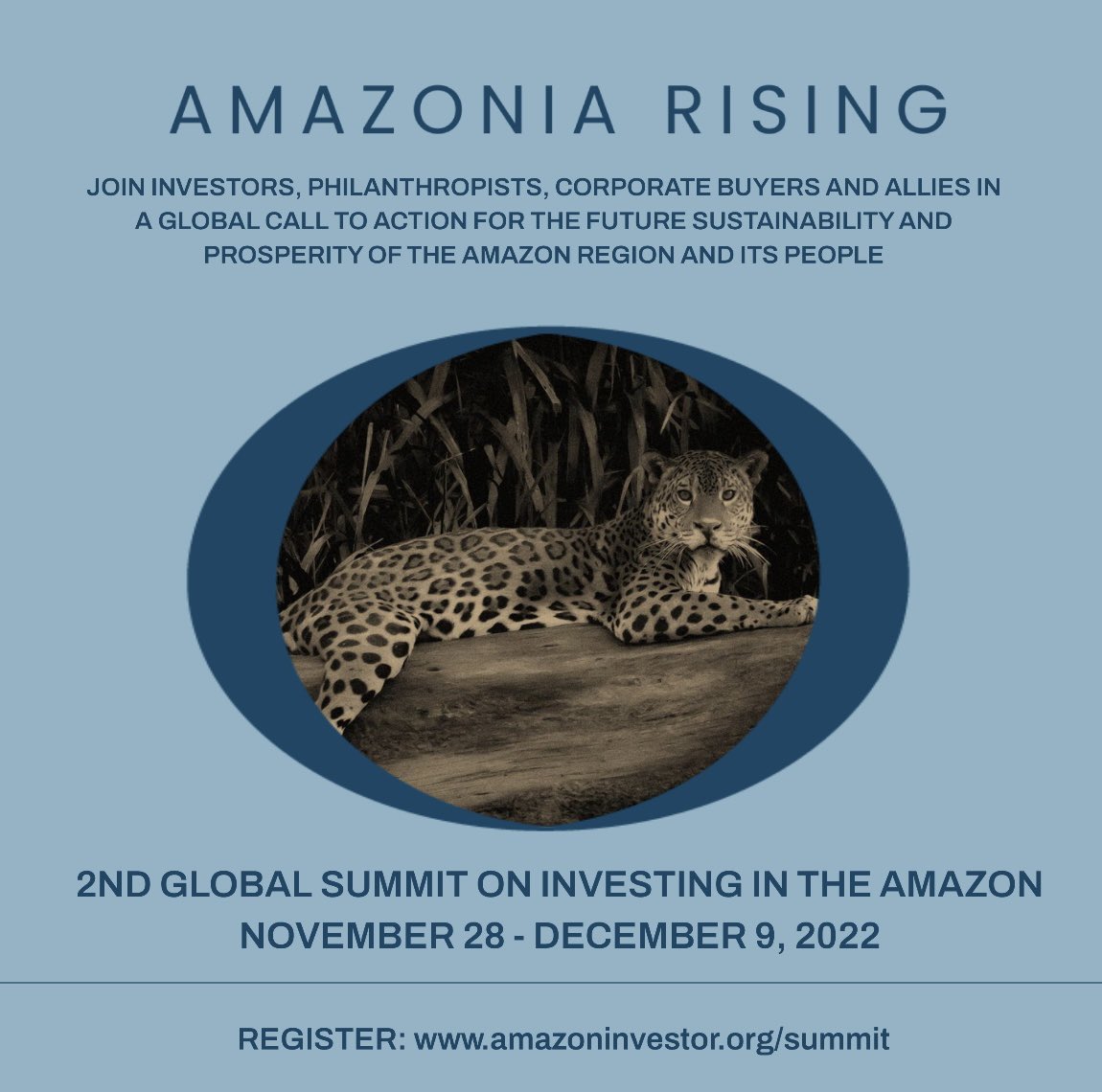 Amazon (Rainforest) Investor Coalition tweet media