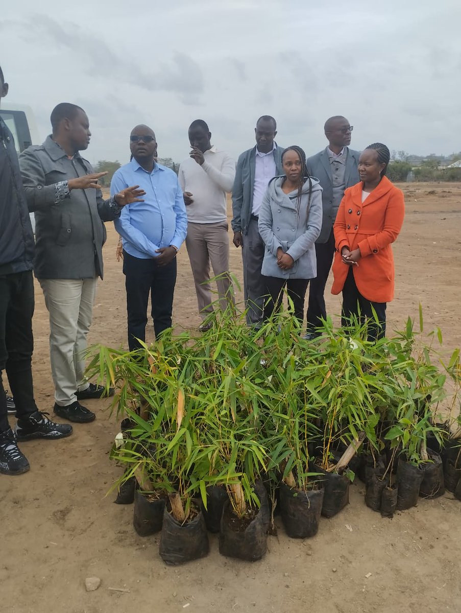 org_safe's tweet photo. A tree seedlings handover to us by the Kenya School of law.
We also planted to commemorate the day. Mavoko MPs office, Athi River township ward MCA's office,Area assistant Chief,Fyucha CBO Athi River,Amenti meta center &amp; the community were present. https://t.co/HbIcTiAS5k