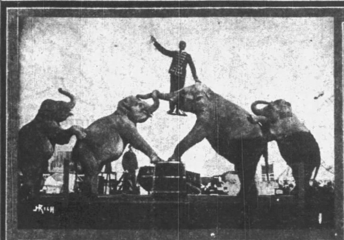 BonnieBeasties's tweet photo. SO excited to unearth a previously unknown image of Eph Thompson performing at the Cedar Rapids Carnival in 1906 #EphThompson #Blackhistory #CircusHIstory #stilldigging #Vaudeville #exhibition #OC #brandnew📷 Gazette https://t.co/vqpAAvObBO