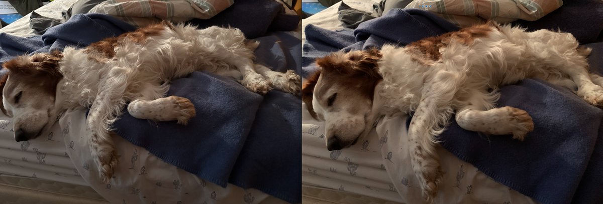 Bryan Cady tweet media