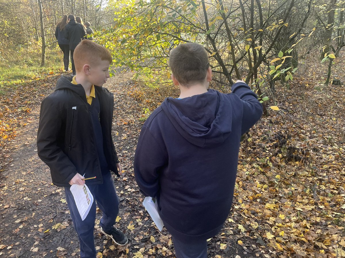 MrsMGault2's tweet photo. Primary 7 had a fantastic time exploring in our wonderful outdoor space as part of our Health Week 🌲🍂🍃🍄@NewStevenstonPr https://t.co/OyXb02WqXc