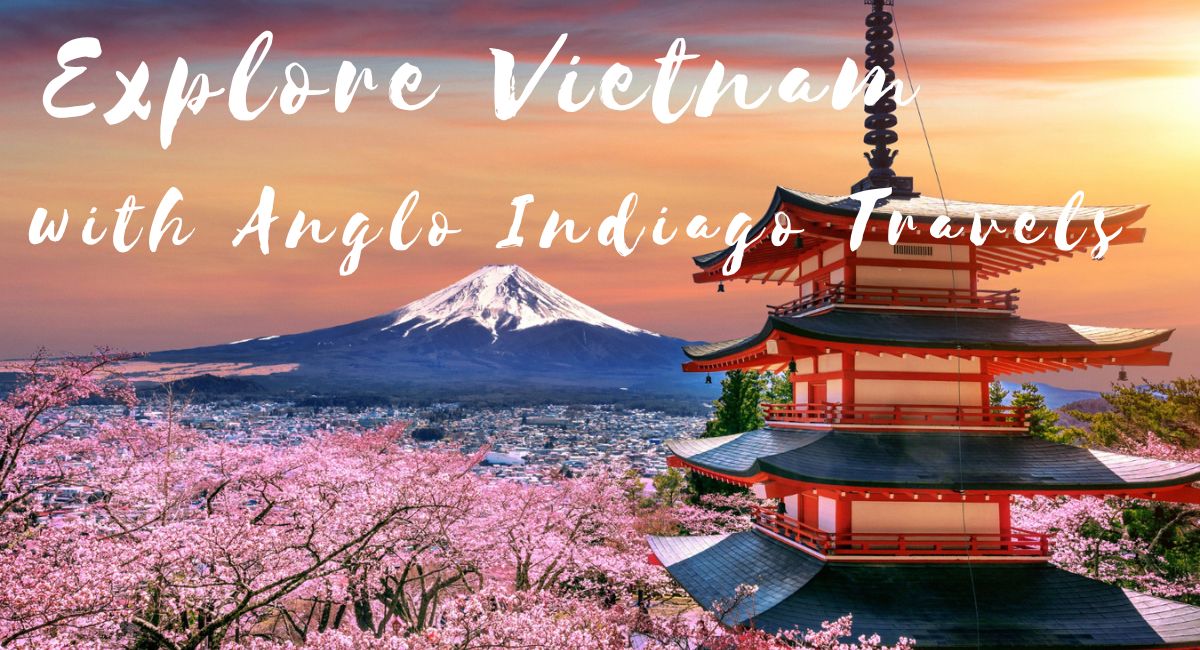 AngloIndiago's tweet image. Holidays  with Anglo Indigo Travels. Apart from India, Sri Lanka etc we are fully operational in Vietnam, Cambodia ( Camboya) Laos, Myanmar &amp;amp; Thailand.

For more details please email us at: info@angloindiago.com

#southeastasia #timeofmylife #thailand #vietnam #laos