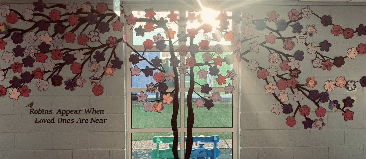 Scoil_Aonghusa's tweet photo. “Robins Appear When Loved Ones Are Near” #RemembranceTree #November @dublindiocese https://t.co/xzb51lyW6M