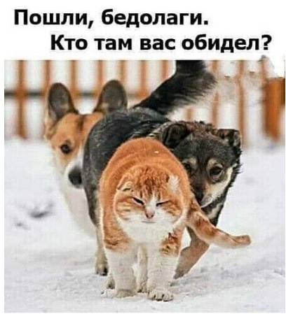 Галина Вишневская (@galina75vichi) on Twitter photo 