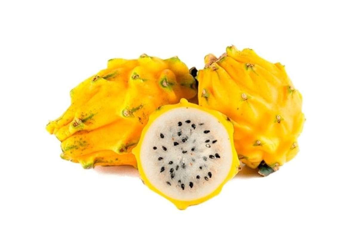 globalforumec's tweet photo. "Pitahaya de Ecuador se abre mercado en Perú. Ecuador abrió un nuevo mercado para la #pitahaya, una vez que se concretó la primera exportación de la fruta hacia Perú el 14 el noviembre de 2022. ". #ElTelegrafo https://t.co/Ui6MQIp1kt https://t.co/vsQPG8odZP