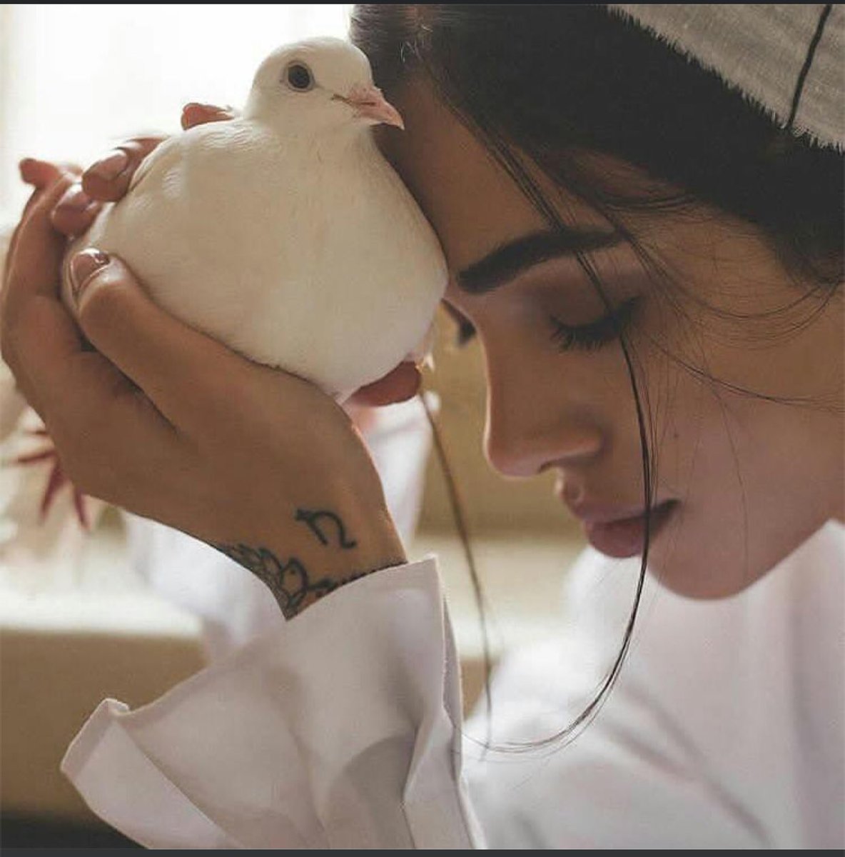 رجائي الوحيد في هذه الدُنيا ؛
أن يكون قلبيّ مُطمئن مهما ساءت أيامي .. 🤍 🕊️

♡