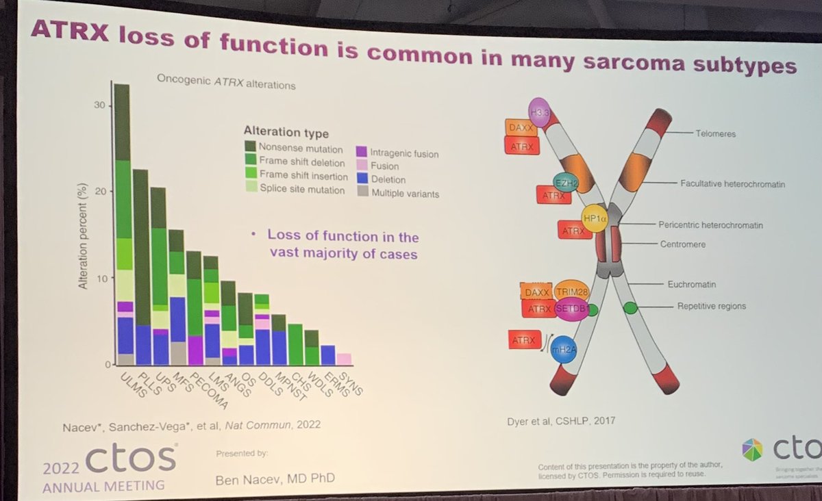 JTrentMDPhD's tweet photo. ATRX knockout in #sarcoma genesis @BenNacev @ctosociety #CTOS2022 #ctos22 #CTOSTweeTOS @OncoAlert https://t.co/62OW1wyMpH