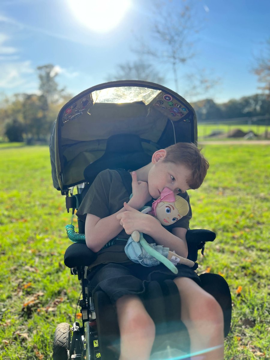 RoseRoadAssociation tweet media