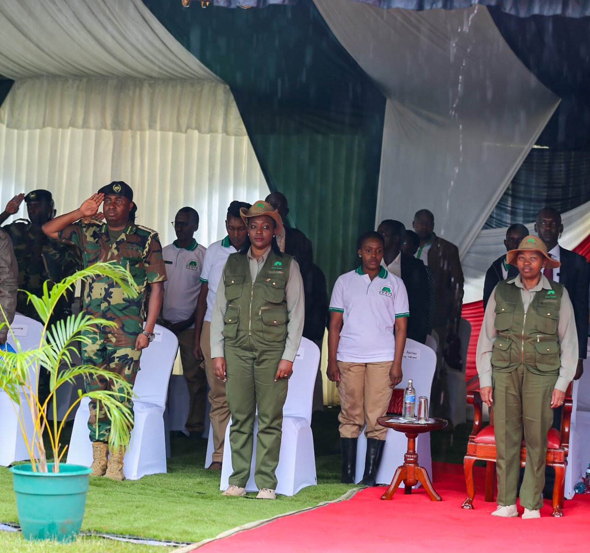 Kenya Forest Service tweet media
