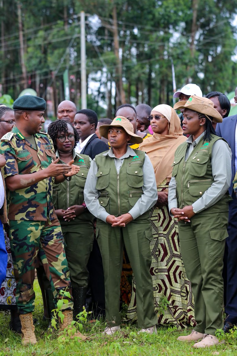 Kenya Forest Service tweet media