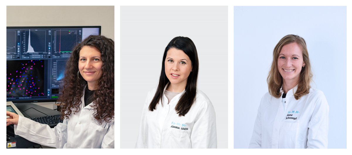 CeMM (@cemm_news) on Twitter photo In their new <a href="/CellReports/">Cell Reports</a> paper, researchers from former CeMM PI & <a href="/MedUni_Wien/">MedUni Wien</a> Assoc. Prof. Joanna Loizou (<a href="/LoizouJoanna/">Joanna Loizou</a>) demonstrate how inhibiting the POLΘ enzyme can stop the growth of #cancer cells with mutations in #BRCA1 ✂️🧬 ➡️ bit.ly/3tBIc2l In their new <a href="/CellReports/">Cell Reports</a> paper, researchers from former CeMM PI & <a href="/MedUni_Wien/">MedUni Wien</a> Assoc. Prof. Joanna Loizou (<a href="/LoizouJoanna/">Joanna Loizou</a>) demonstrate how inhibiting the POLΘ enzyme can stop the growth of #cancer cells with mutations in #BRCA1 ✂️🧬 ➡️ bit.ly/3tBIc2l