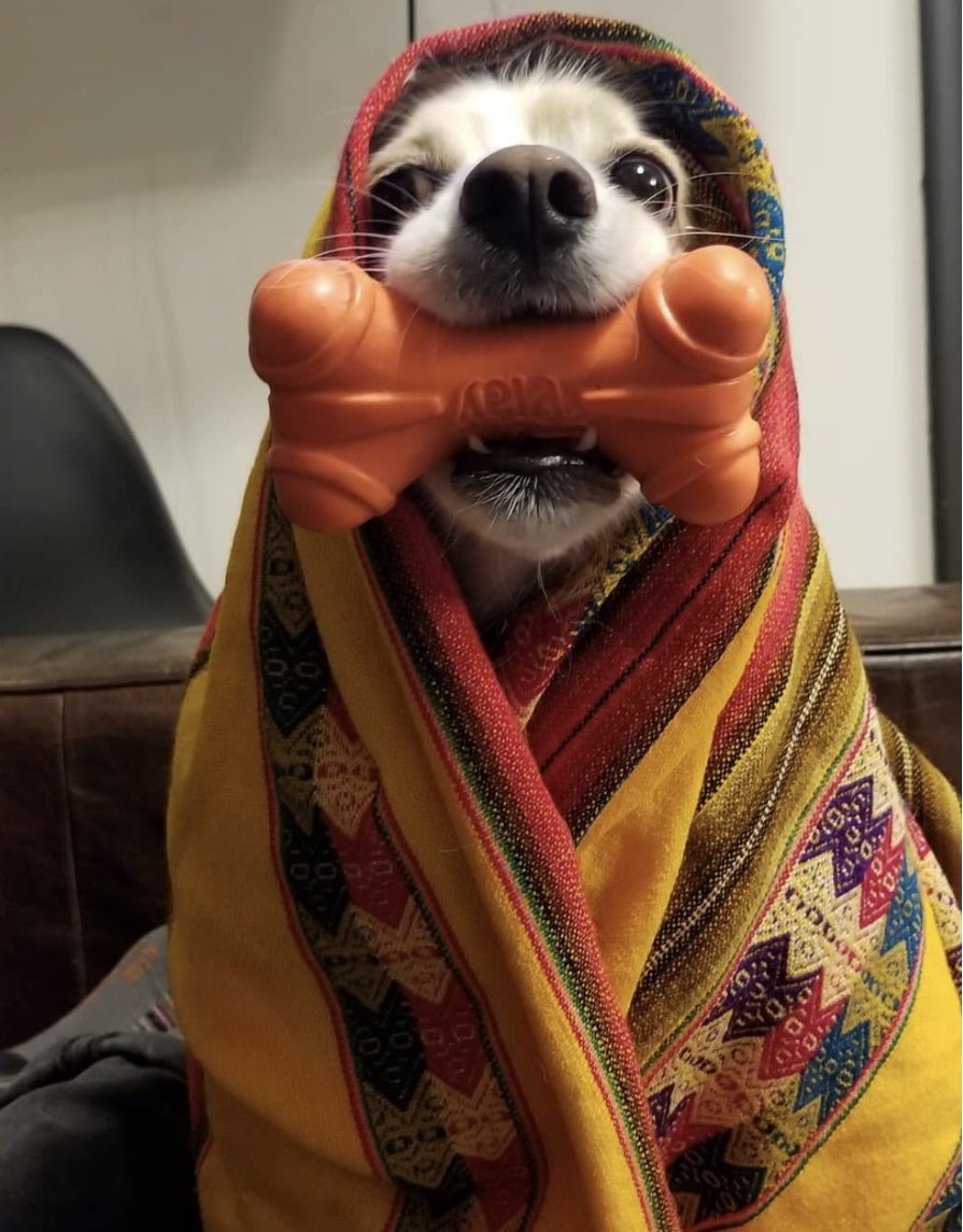 🚨 Community Member Spotlight Post 🚨

It is always a pleasure to see how creative our community members are. Meet the…

“Bone Shaman. Born on a Caribbean island, this mystical creature now wanders the mountains of Nicaragua, seeking to spread good vibes to all humans.”