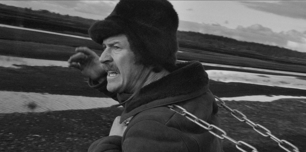 Earlier this eve, the CIFF Shorts Awards Winners were announced by CIFF Patron Lord David Puttnam <a href="/DPuttnam/">David Puttnam</a> ⁠🌟

Congrats to all! ⁠

See bit.ly/3U0MECR for the list of winners! 👀

Best Cork Short Award to be announced after Pure Cork programme on 19 Nov <a href="/EverymanCork/">The Everyman</a>