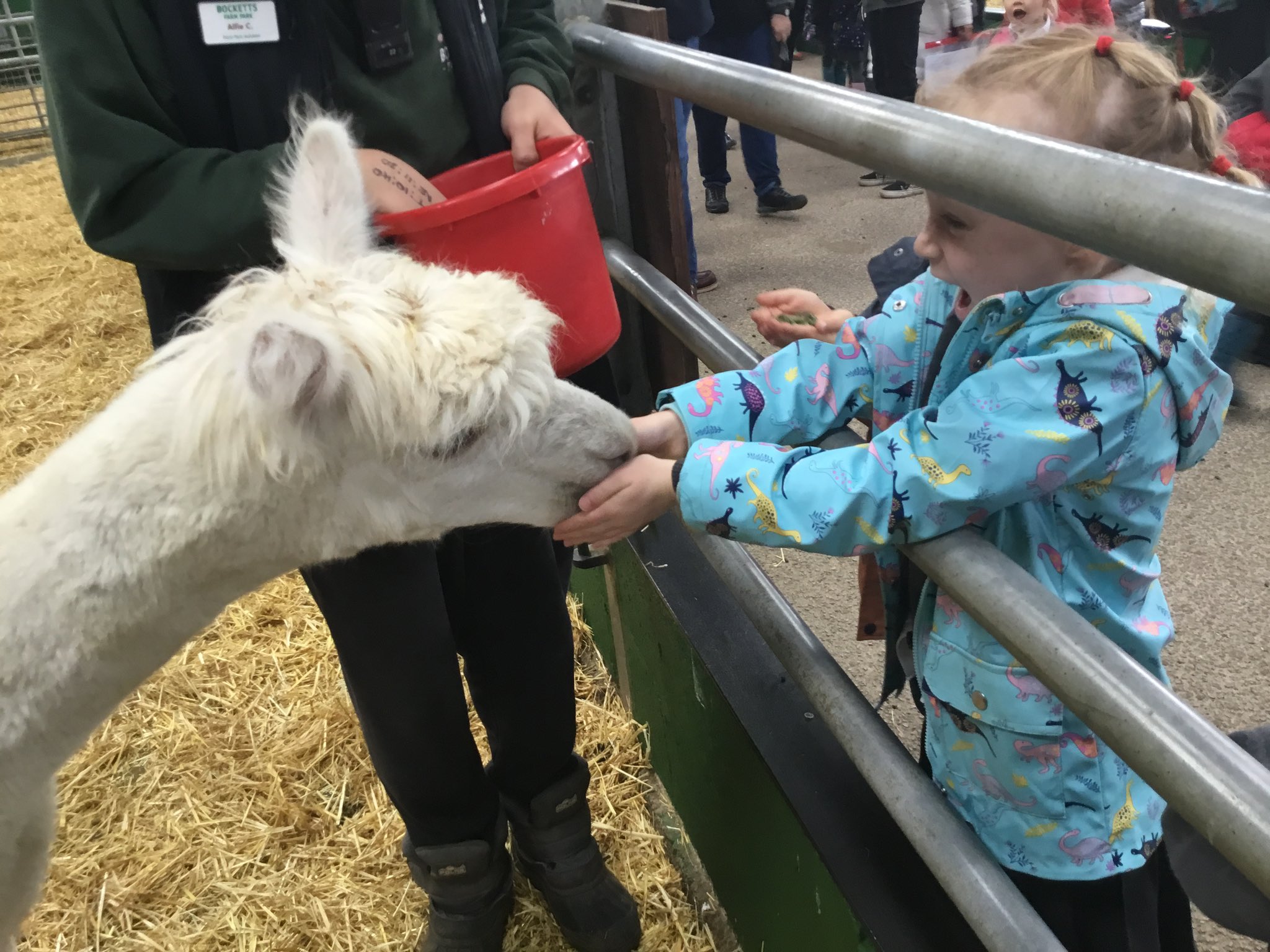 Cuddington Croft on Twitter "1️⃣ Year 1 had an excellent day at