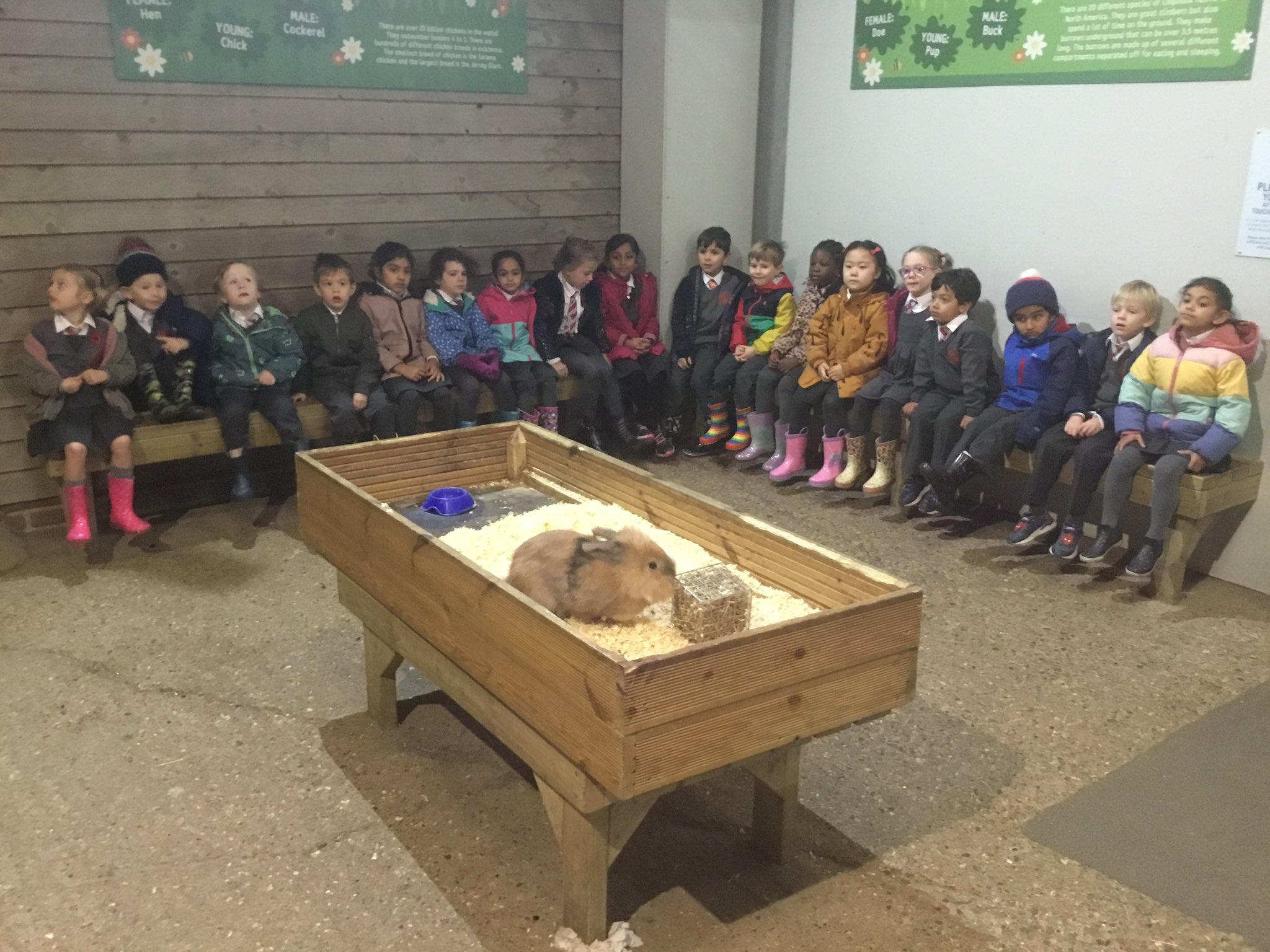 Cuddington Croft on Twitter "1️⃣ Year 1 had an excellent day at