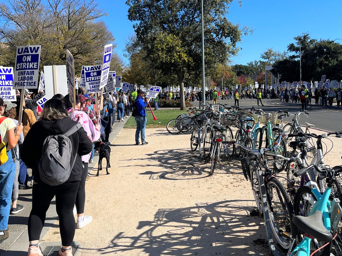 Davis brought queer pride to the pickets yesterday ❤️‍🔥🌈