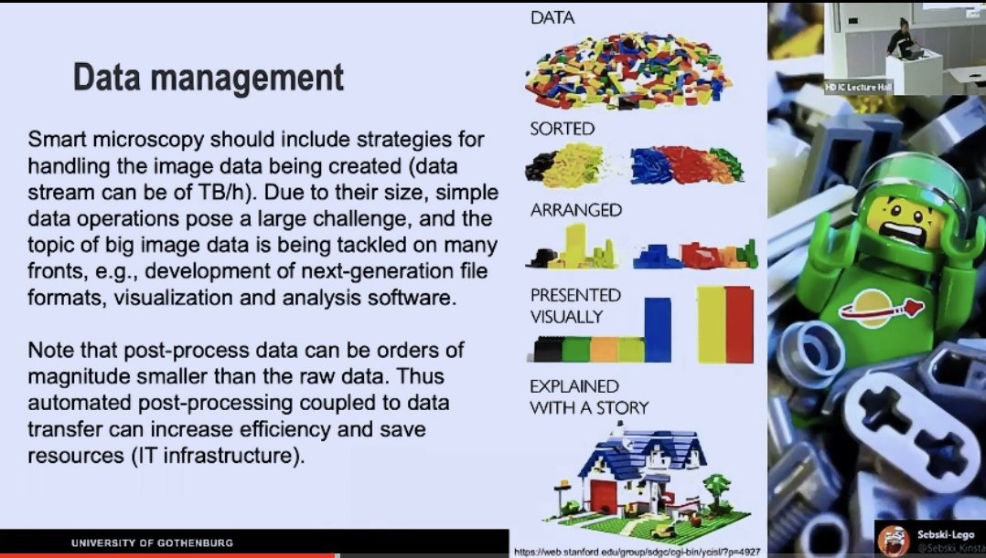 haesleinhuepf's tweet image. #SmartMicroscopy, #DataManagement and LEGO in one slide. I love it! Thanks for sharing! 🤩
